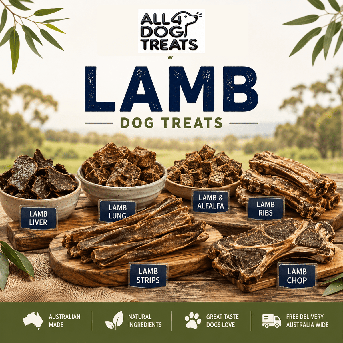 Australian Lamb Dog Treats | All4DogTreats