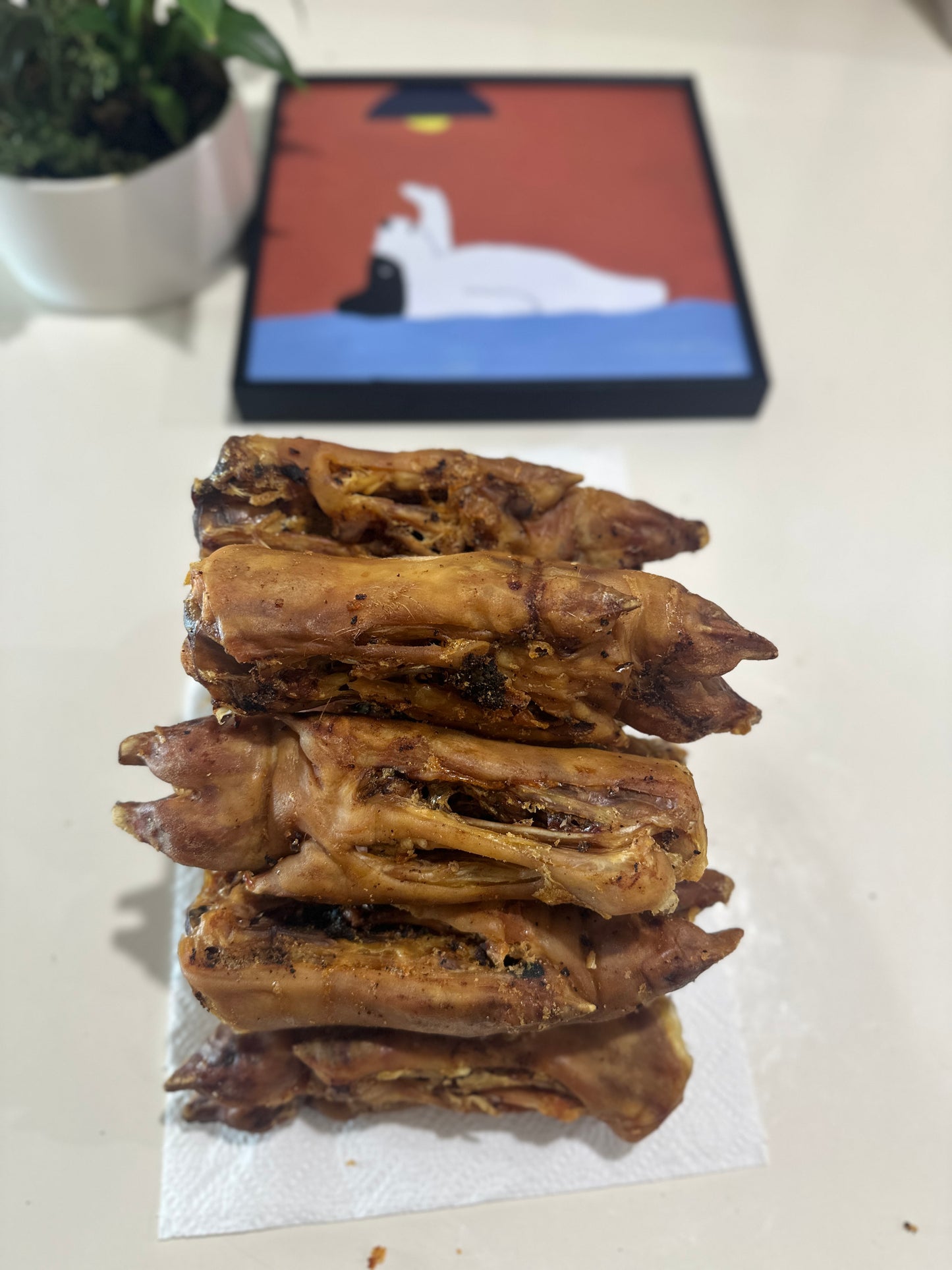 Pork Trotters (Whole) 10-Pack 100% Australian Natural Dog Food Free Post