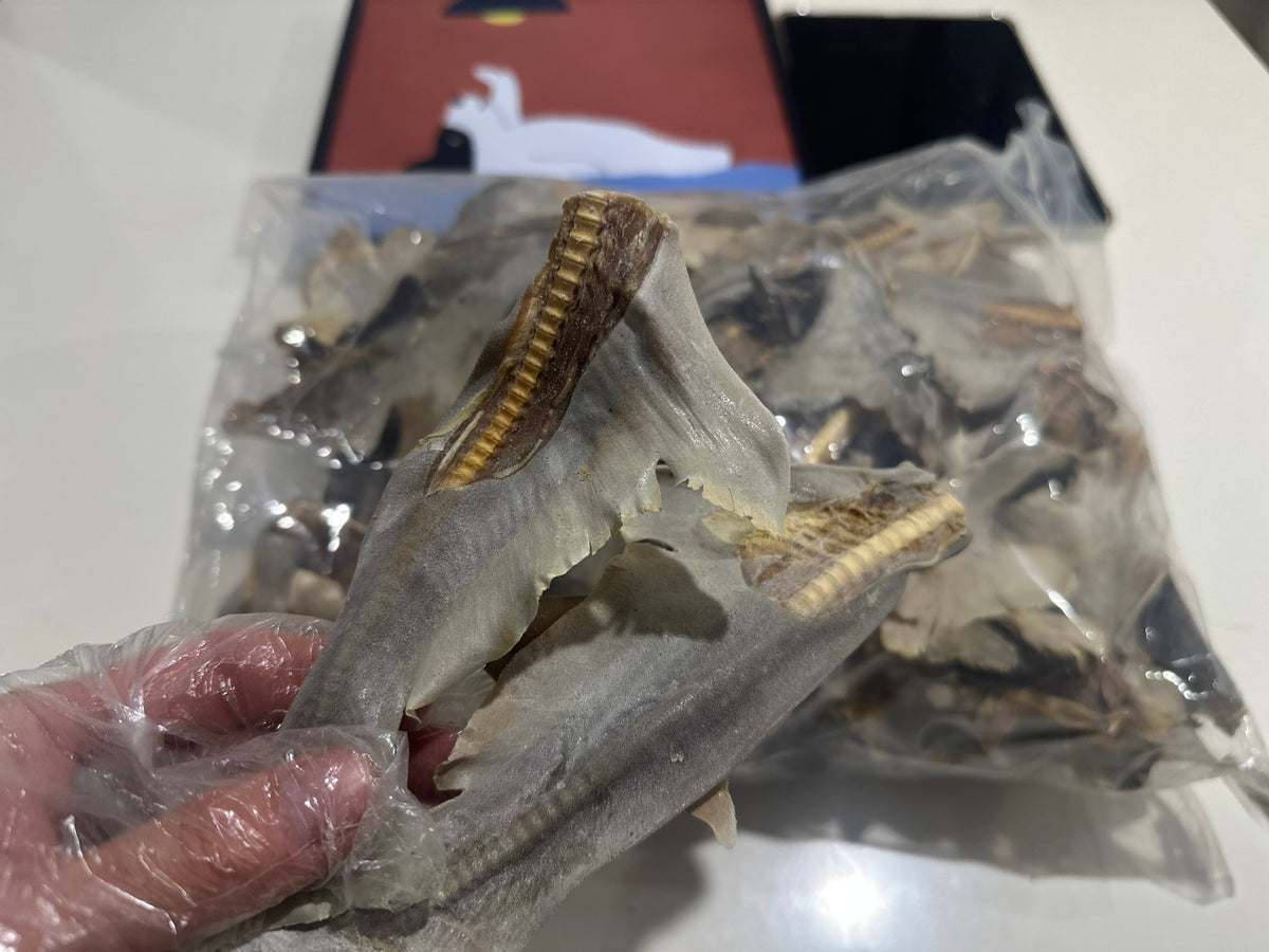 Australian Shark Tail Dog Chews (1kg) – product image