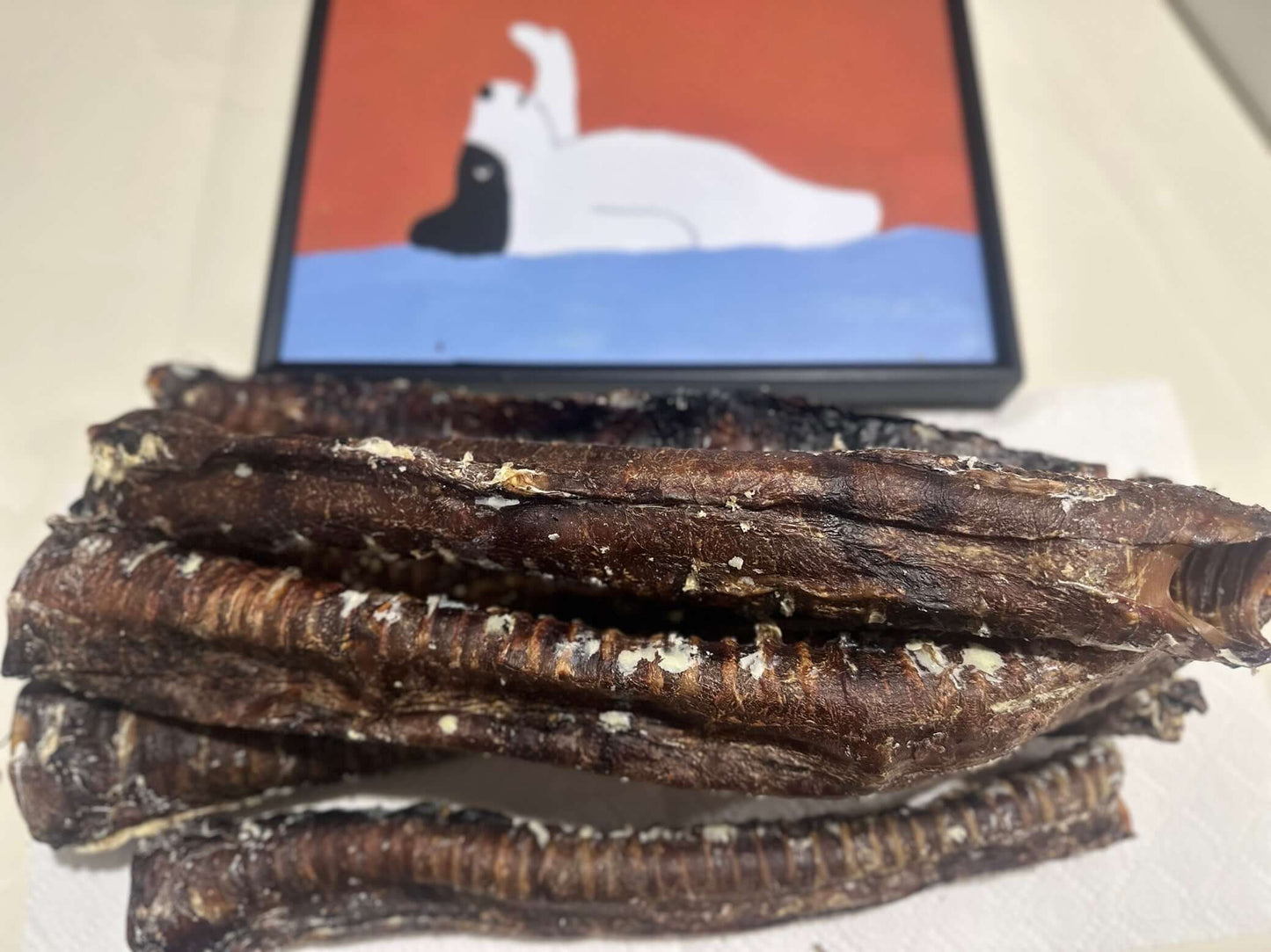 Trachea Cow Tube 1kg 100% Australian Natural Dog Treats Free Post stacked on a table with an art piece in background.