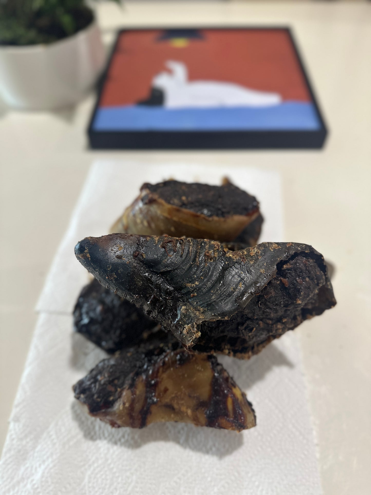 Cow Hooves (20pcs) 100% Australian Natural Dog Treats Free Post