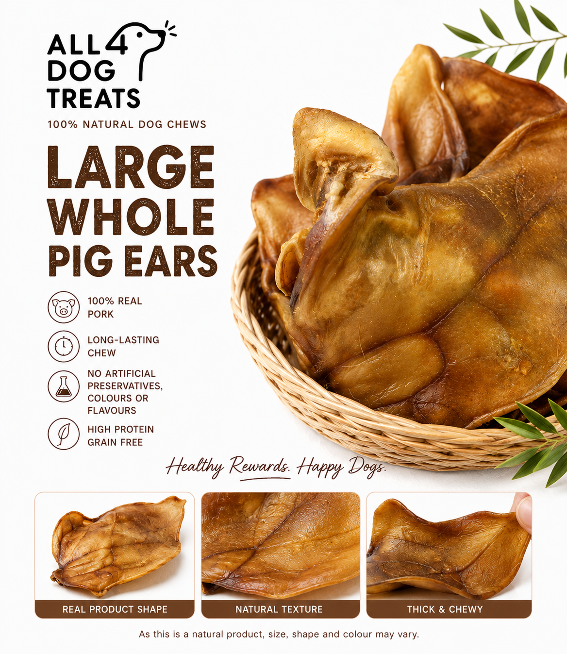 Australian Whole Pig Ear Long-Lasting Dog Chews – Pack of 50