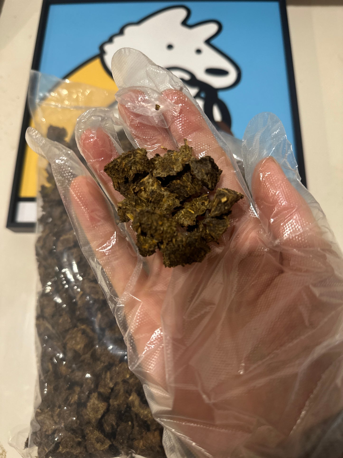 Lamb Alfalfa Bites Dog Treats 1kg Bulk Pack Australian Dried Training