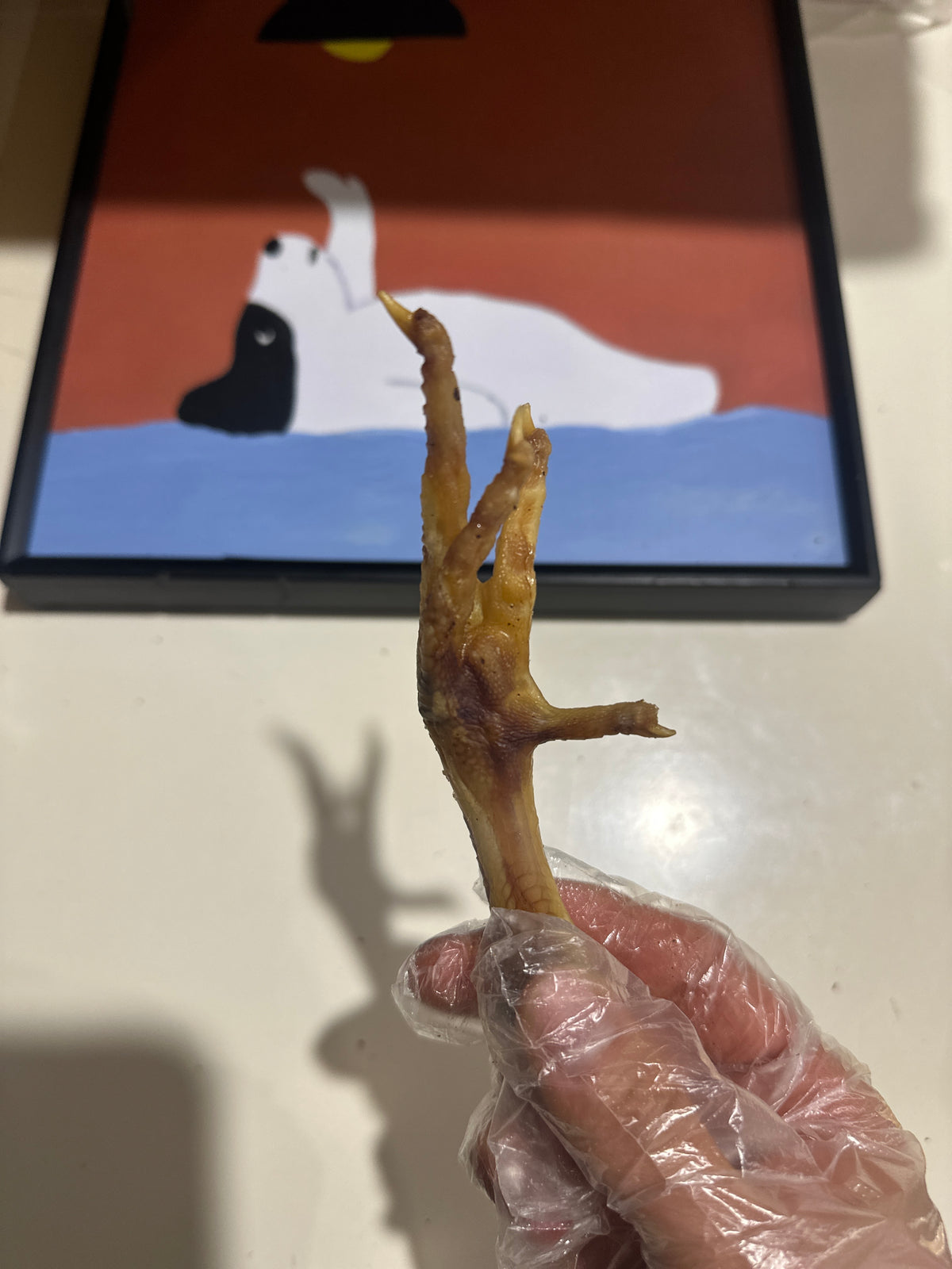 Australian Chicken Feet Dog Treats (1kg) – product image 2