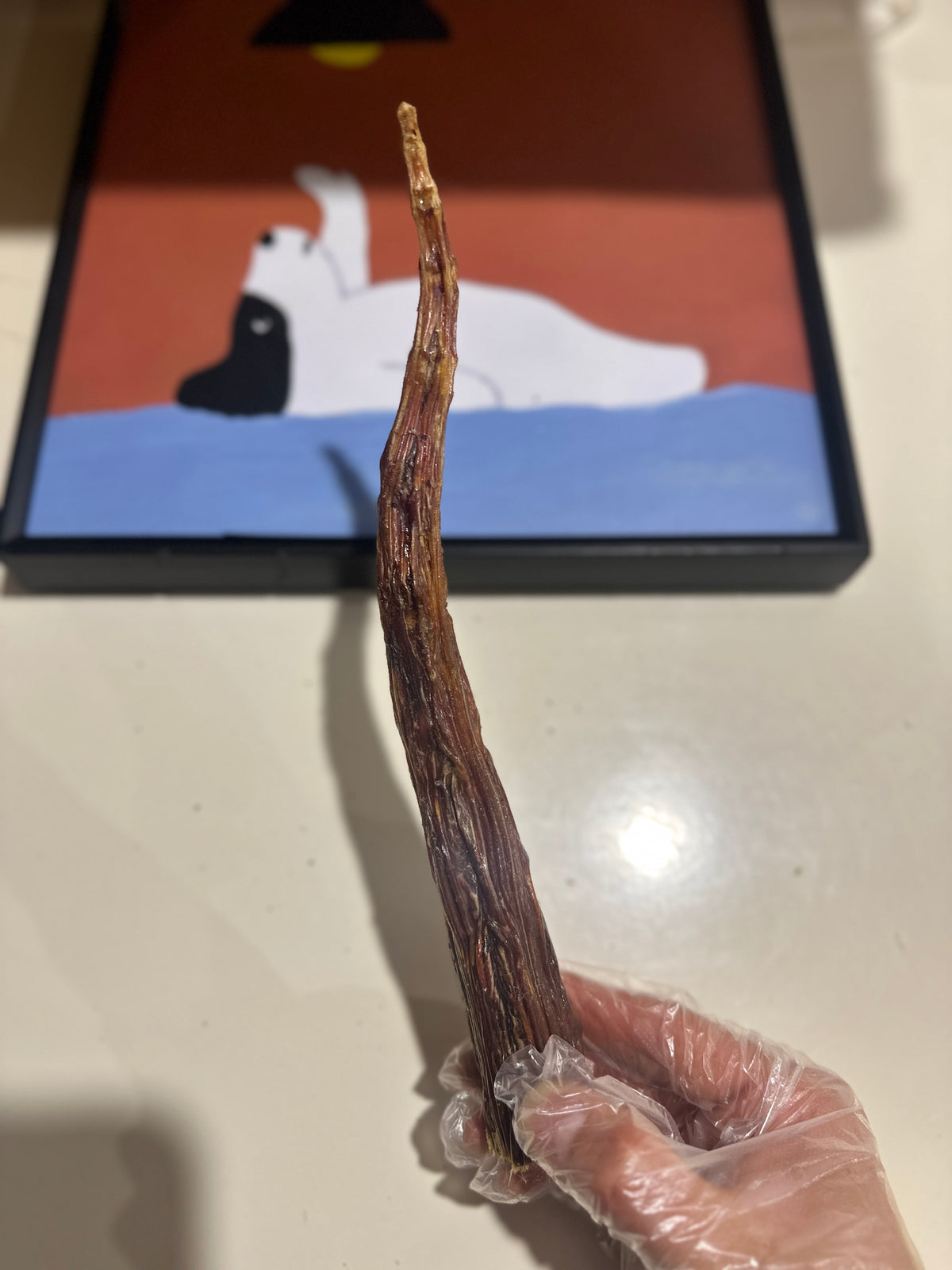 Australian Kangaroo Tail Tips (1kg) – product image 2