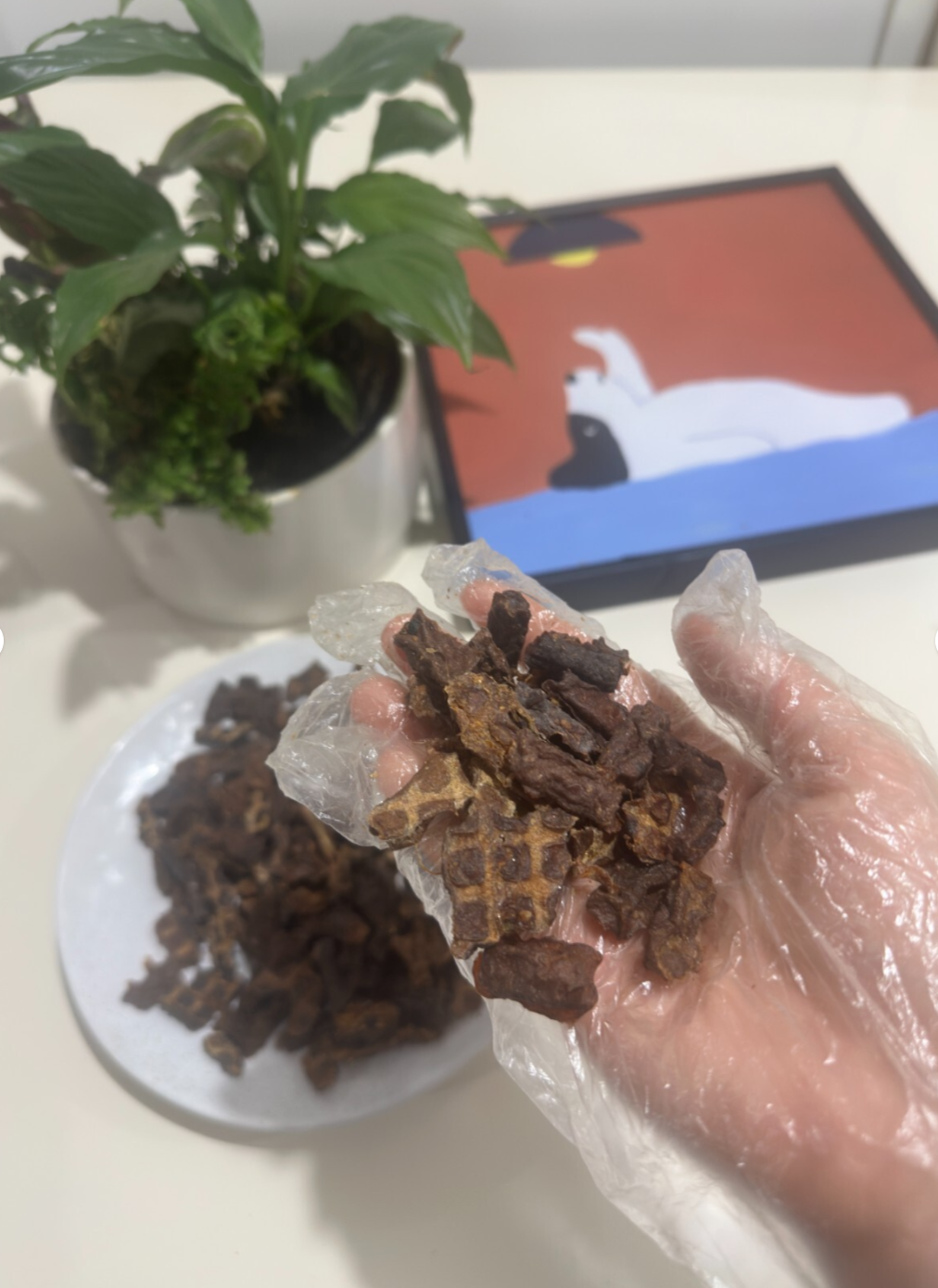 Australian Kangaroo Training Dog Treats – 1kg