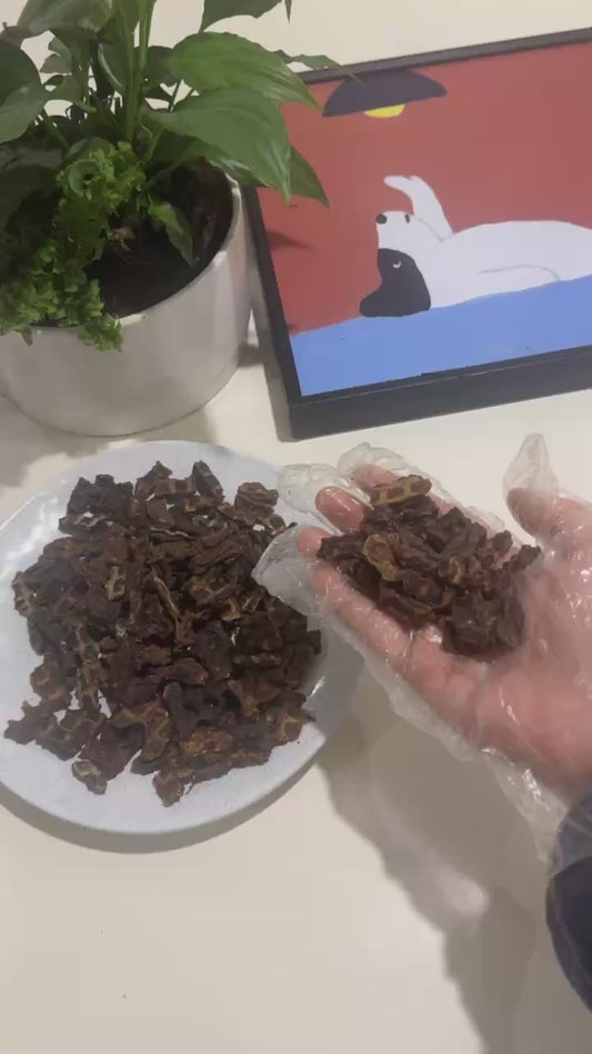 Australian Kangaroo Training Dog Treats – 1kg