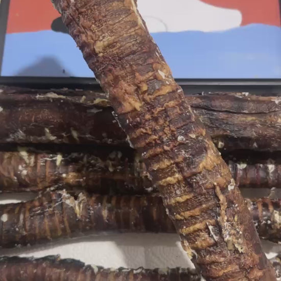 Trachea Cow Tube 1kg 100% Australian Natural Dog Treats Free Post, chew for dental and joint health.