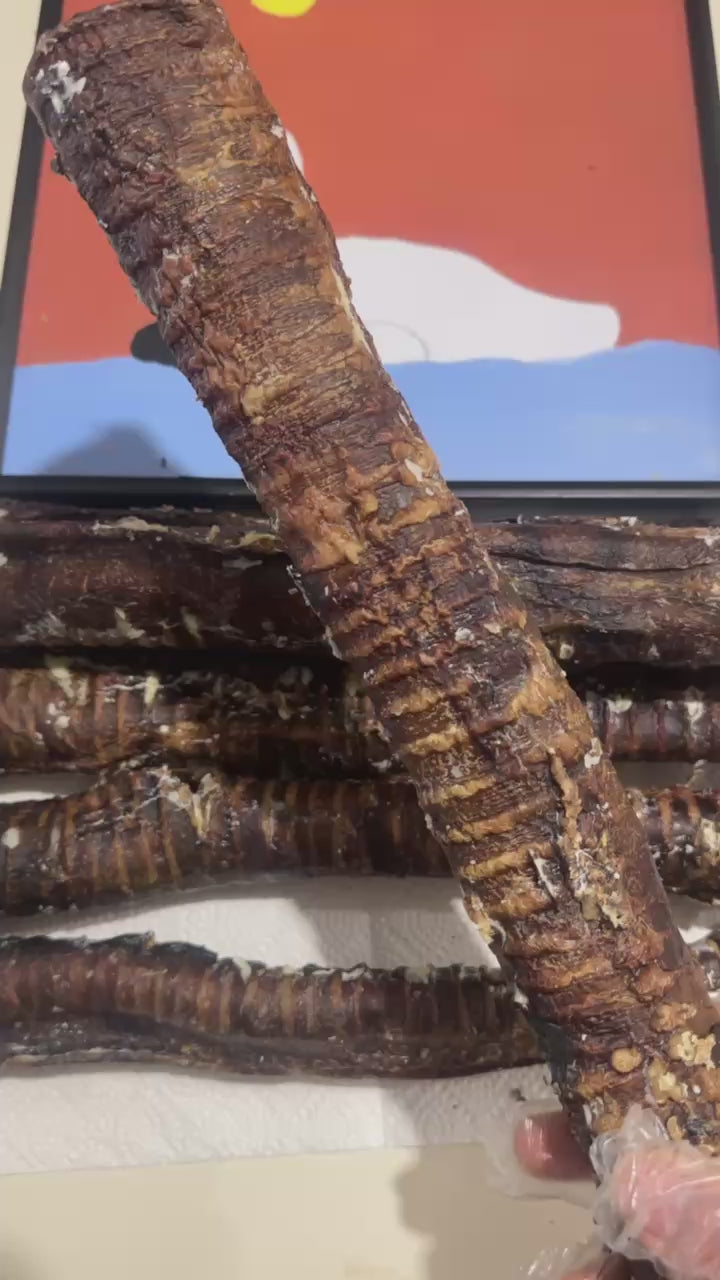 Trachea Cow Tube 1kg 100% Australian Natural Dog Treats Free Post, chew for dental and joint health.