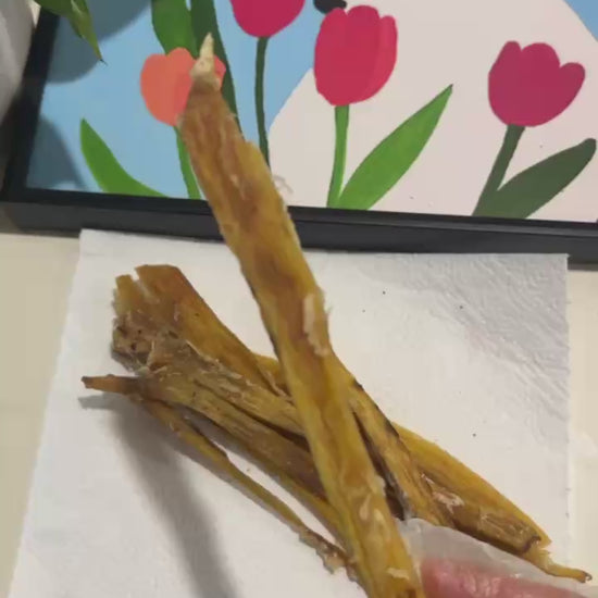 Beef Tendon Strips 1Kg 100% Australian Natural Dog Dental Treats Free Post in hand with art background.