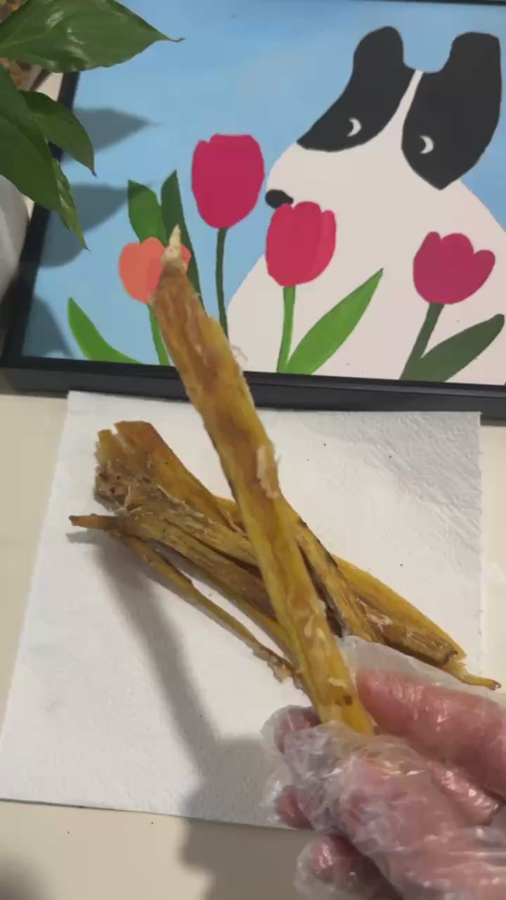 Beef Tendon Strips 1Kg 100% Australian Natural Dog Dental Treats Free Post in hand with art background.