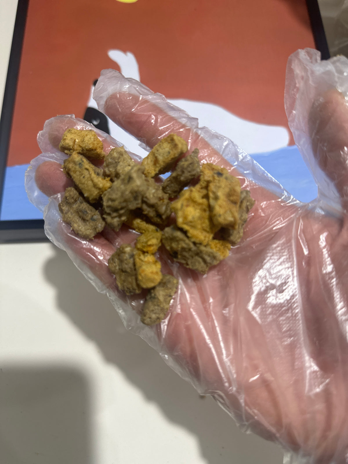 Australian Salmon Training Bites (1kg) – product image 2
