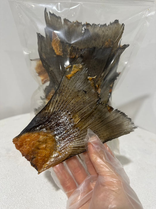 Close-up of natural Australian salmon tail dog chew by ALL4DOGTREATS